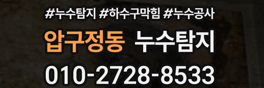 압구정동 누수탐지업체