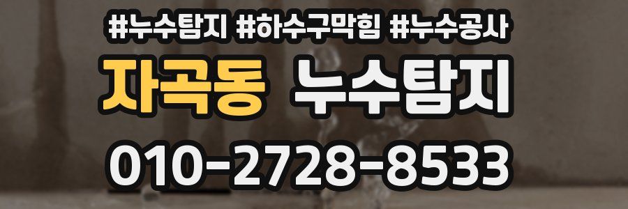 자곡동 누수탐지업체