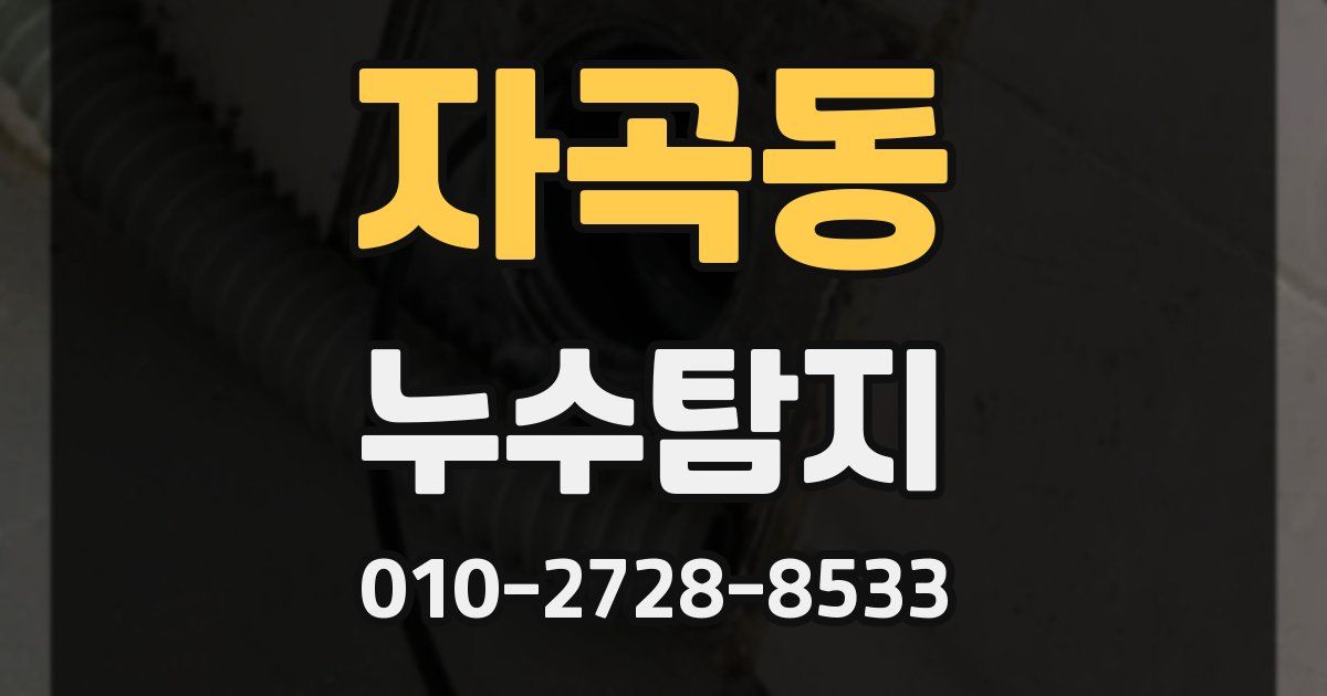 자곡동 누수공사