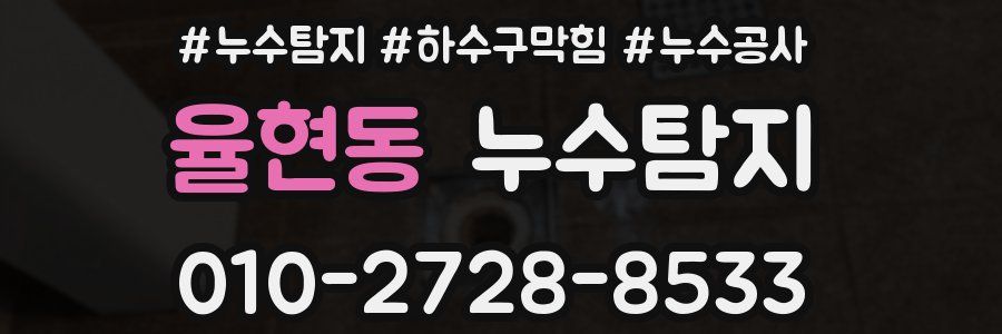 율현동 누수탐지업체