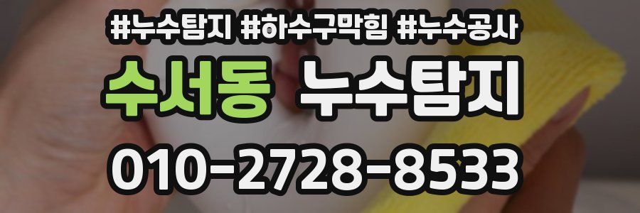 수서동 누수탐지업체