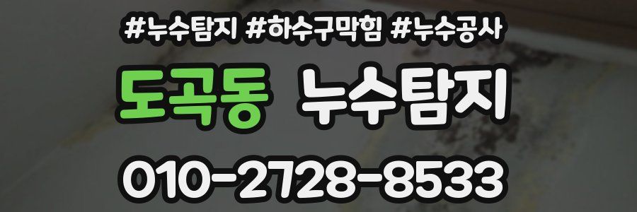 도곡동 누수탐지업체