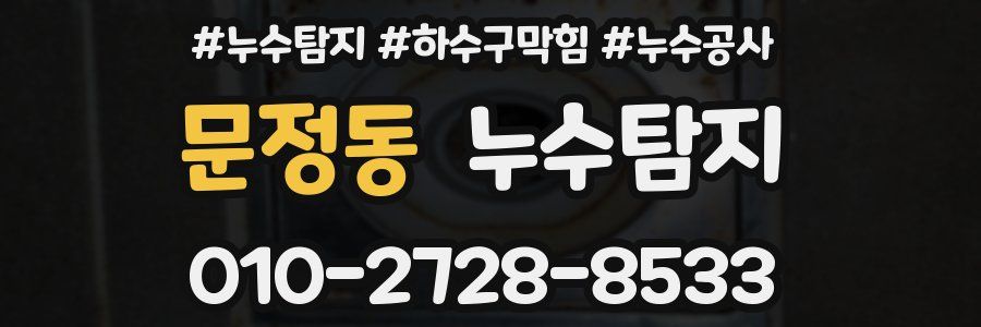 문정동 누수탐지업체