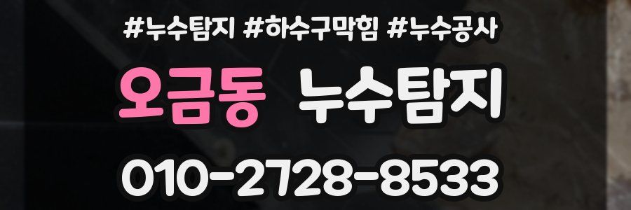 오금동 누수탐지업체