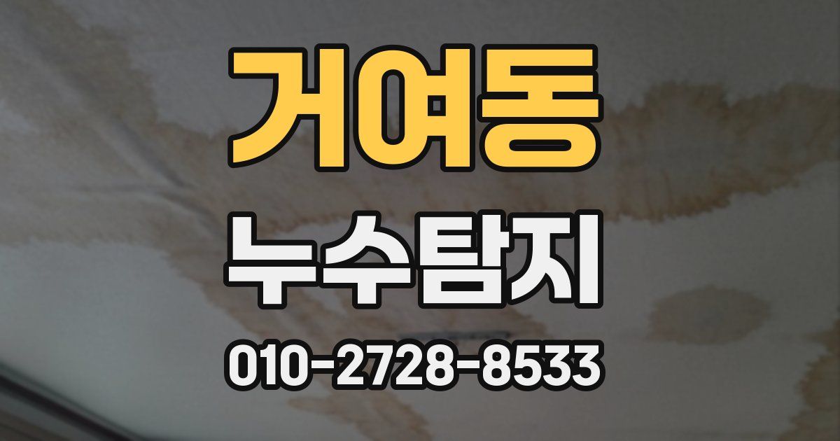 거여동 누수공사