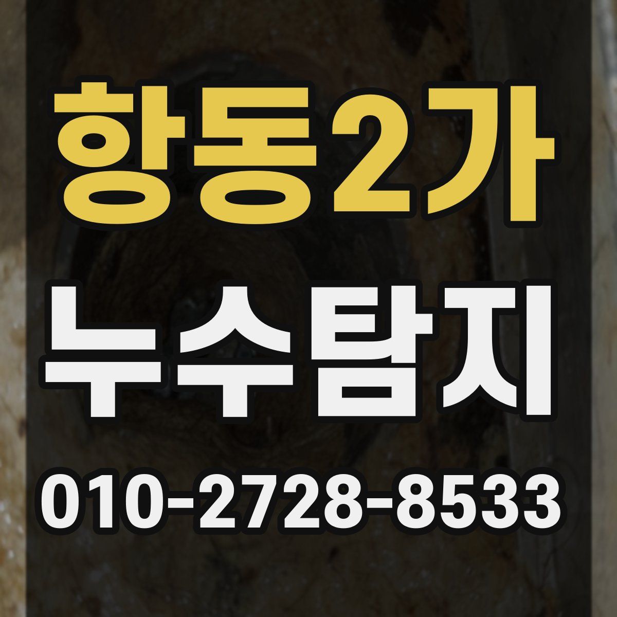 항동2가 누수탐지
