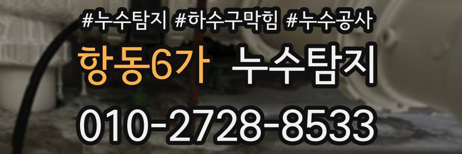 항동6가 누수탐지업체