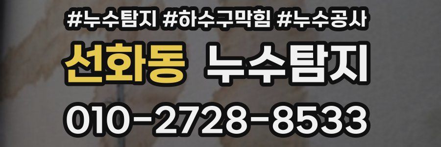 선화동 누수탐지업체