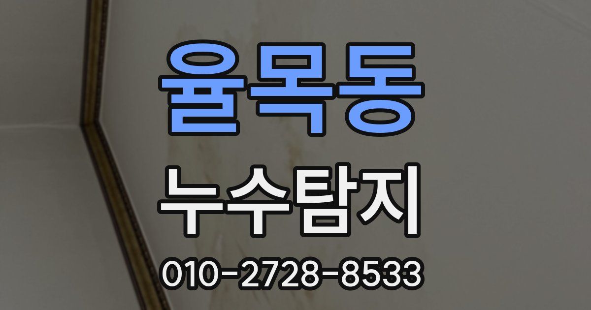 율목동 누수공사