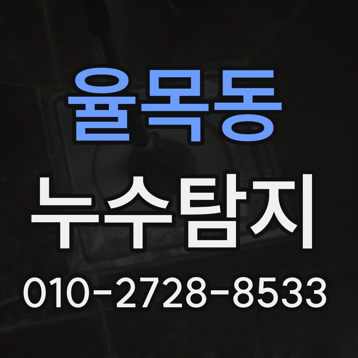 율목동 누수탐지