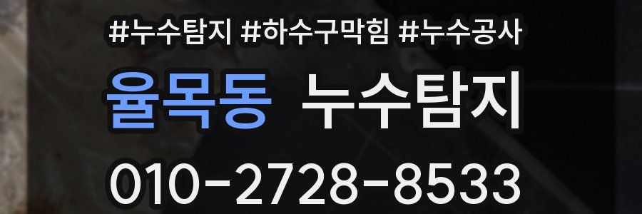 율목동 누수탐지업체