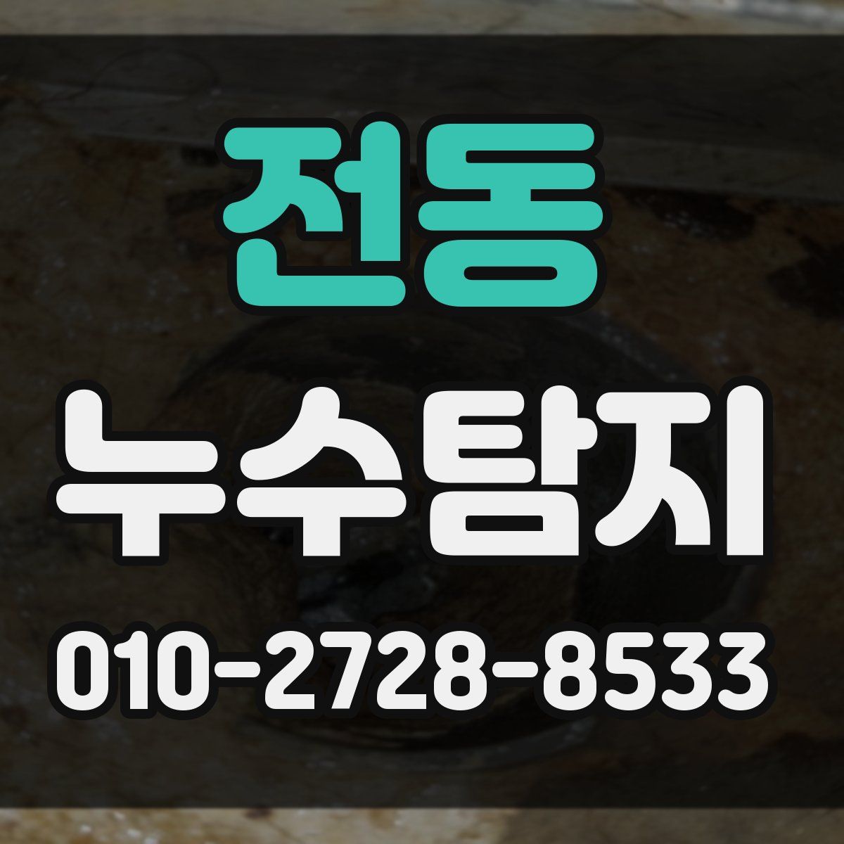 전동 누수탐지