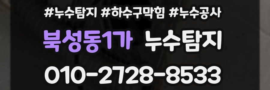 북성동1가 누수탐지업체
