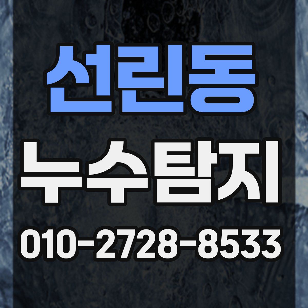 선린동 누수탐지