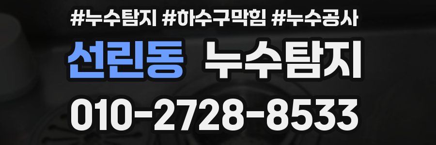 선린동 누수탐지업체