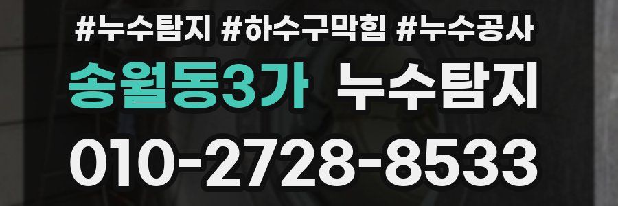 송월동3가 누수탐지업체