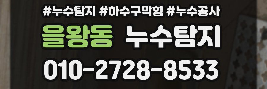 을왕동 누수탐지업체