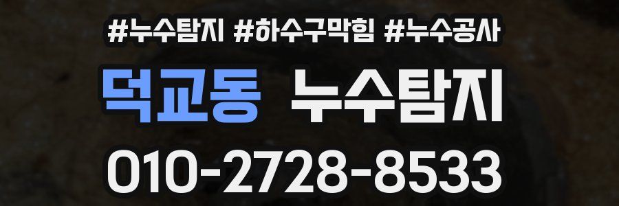 덕교동 누수탐지업체