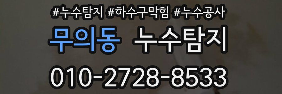 무의동 누수탐지업체