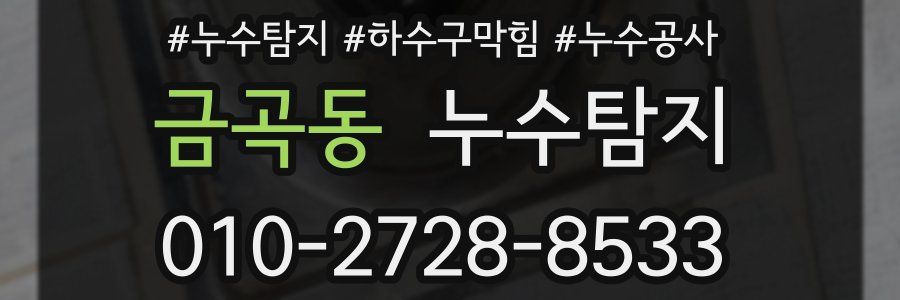금곡동 누수탐지업체