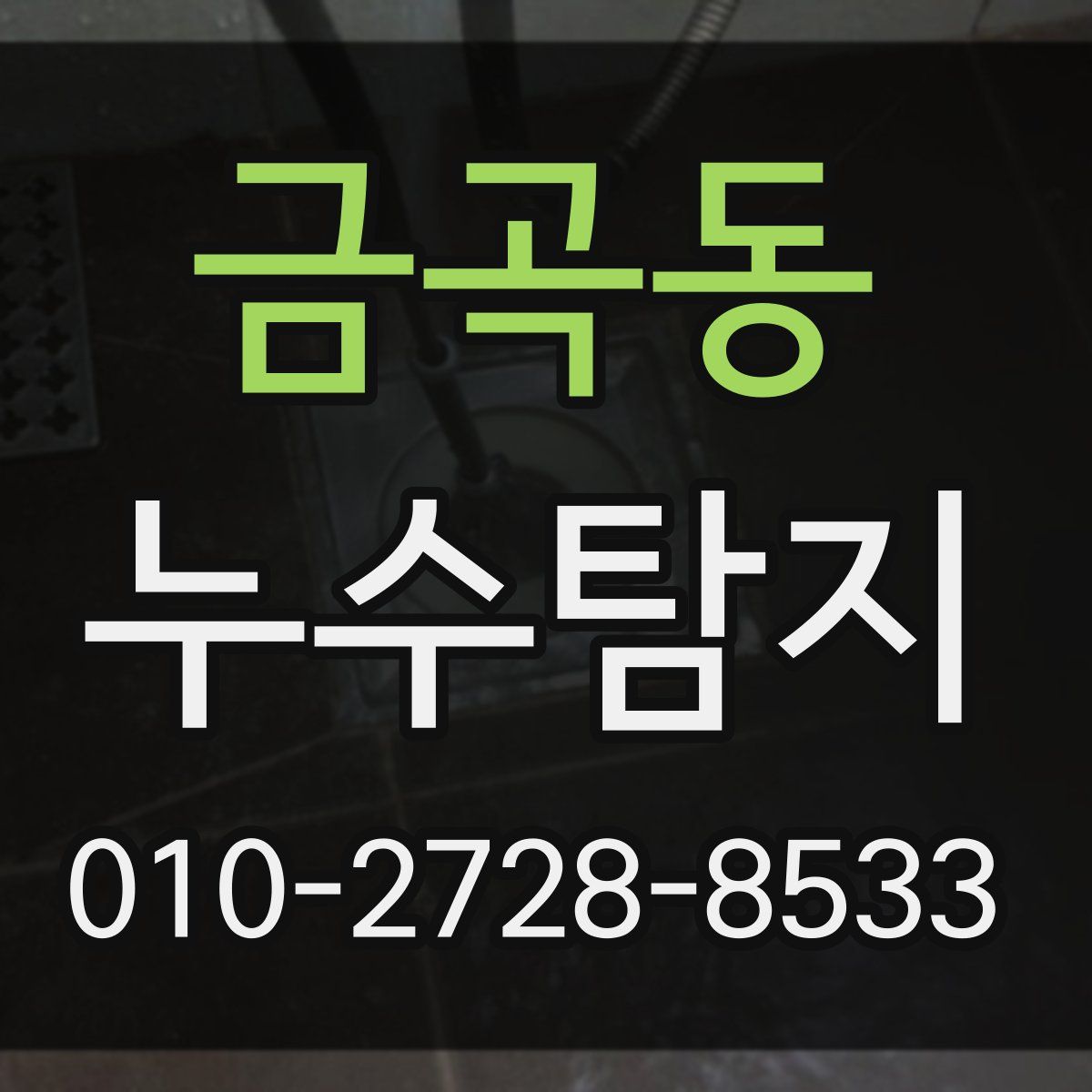 금곡동 누수탐지