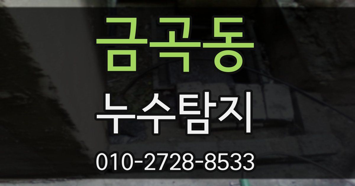 금곡동 누수공사