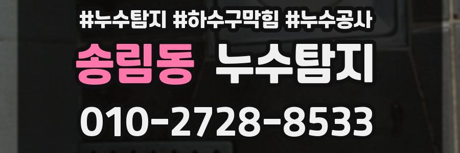 송림동 누수탐지업체