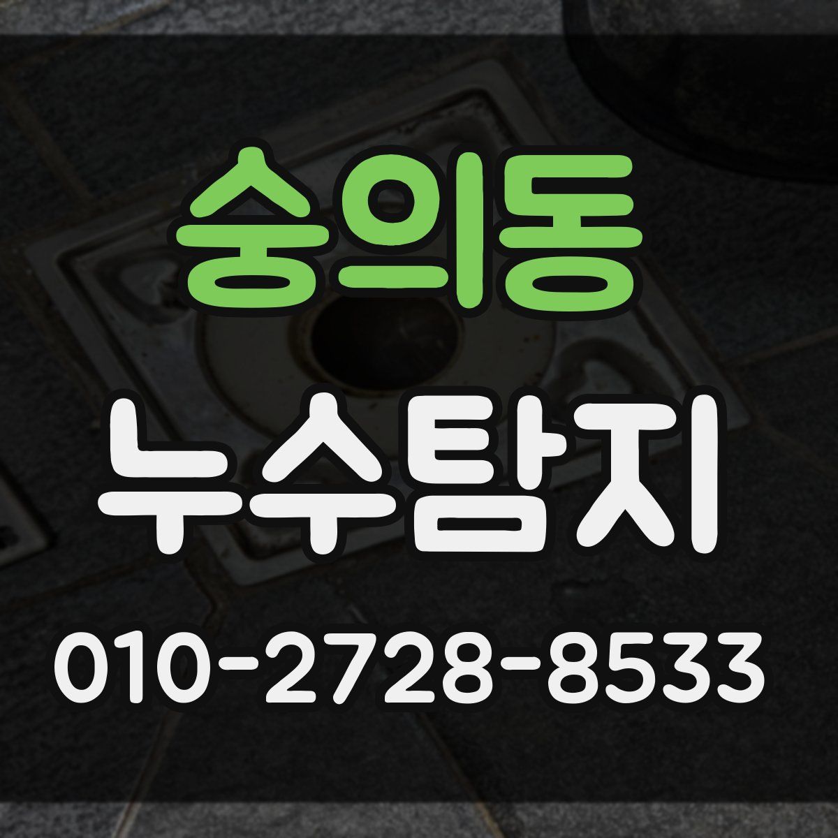 숭의동 누수탐지