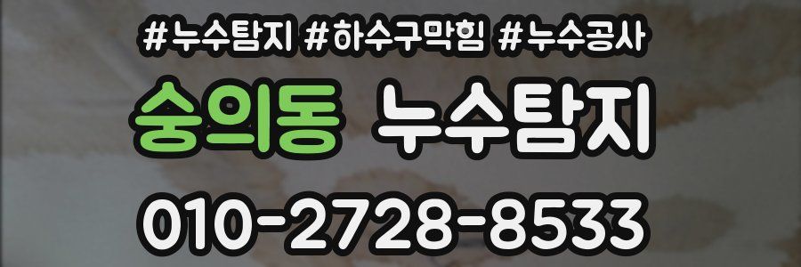 숭의동 누수탐지업체