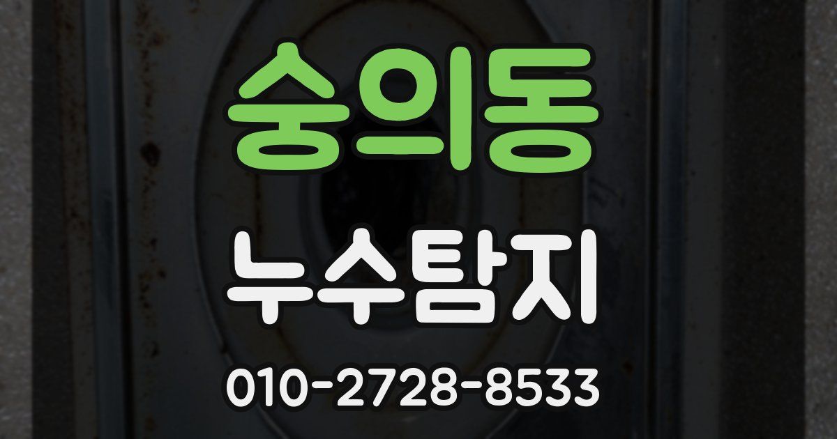 숭의동 누수공사