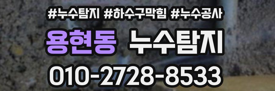 용현동 누수탐지업체
