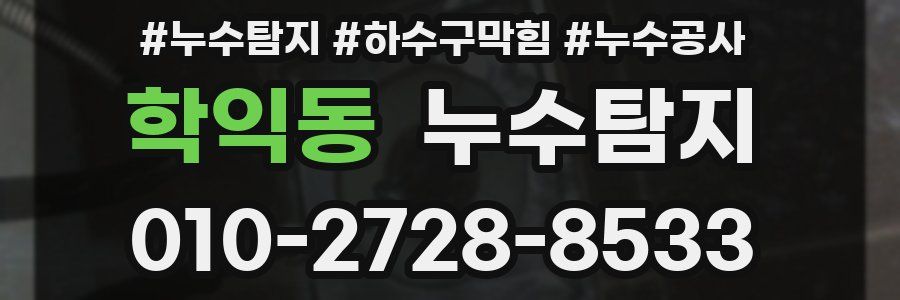 학익동 누수탐지업체