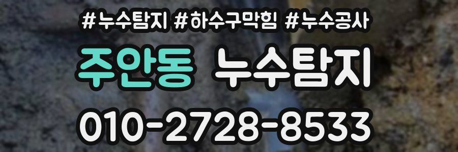 주안동 누수탐지업체