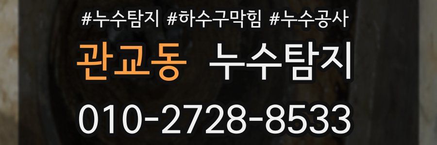 관교동 누수탐지업체