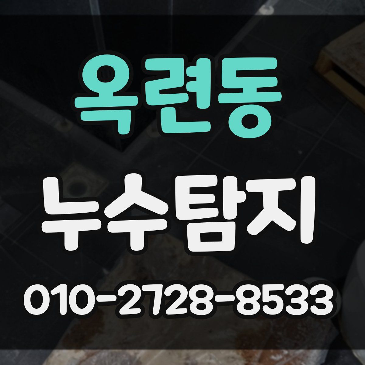 옥련동 누수탐지