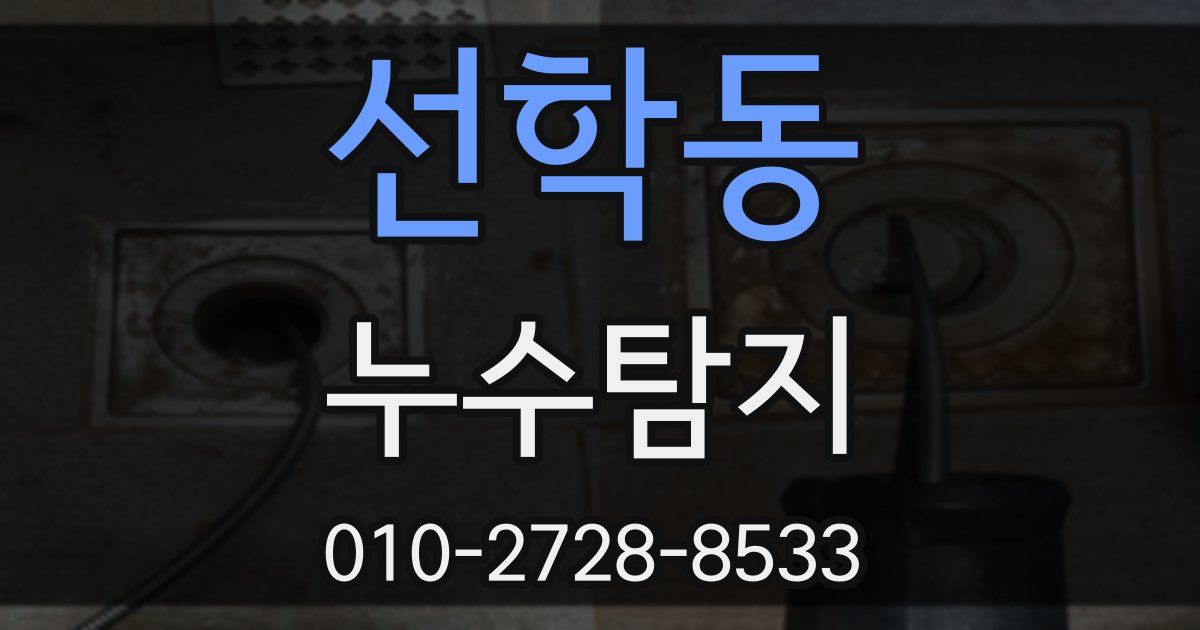 선학동 누수공사