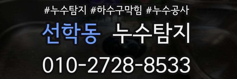 선학동 누수탐지업체
