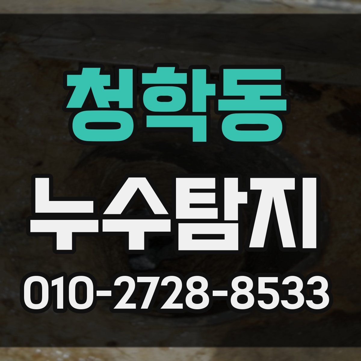 청학동 누수탐지