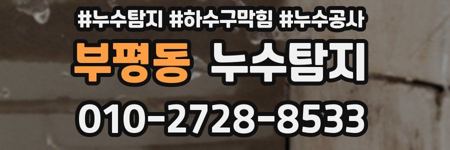 부평동 누수탐지업체