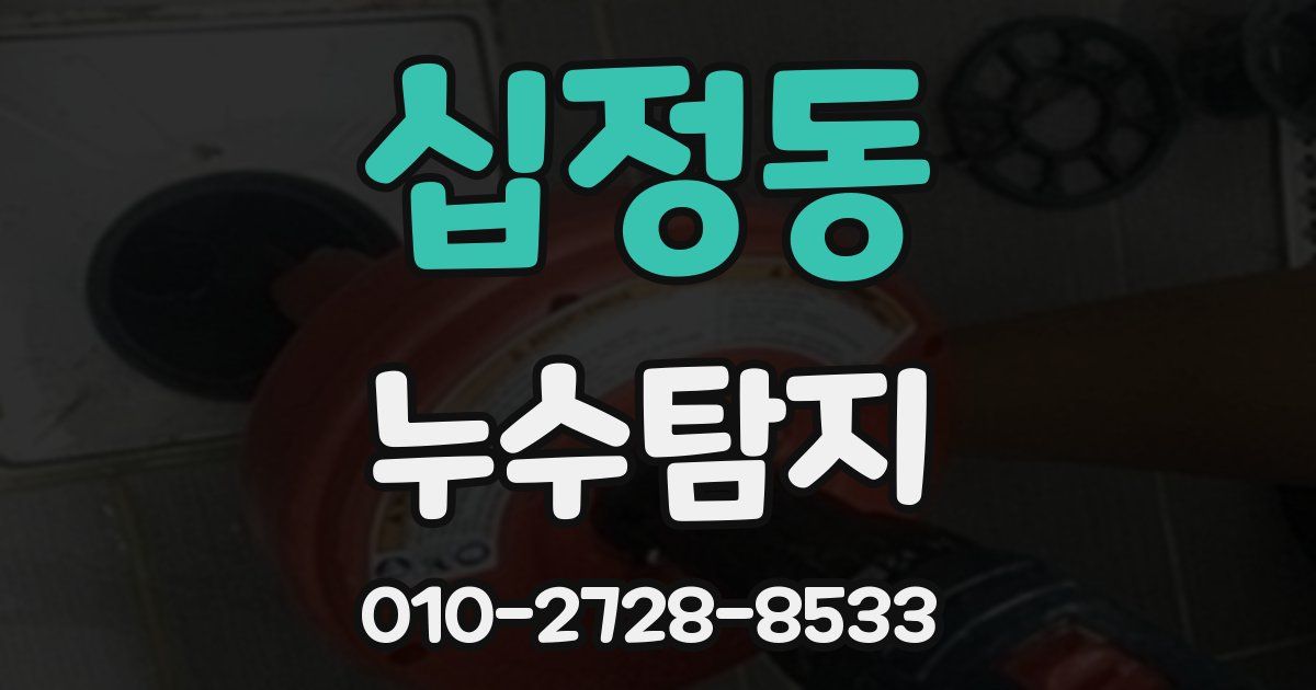 십정동 누수공사
