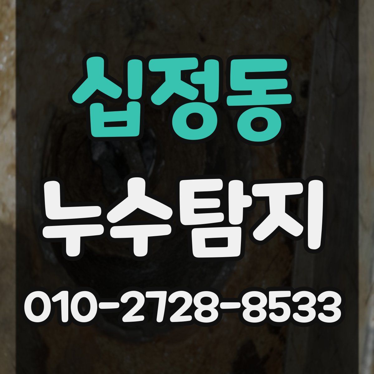 십정동 누수탐지