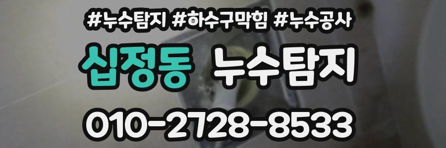 십정동 누수탐지업체
