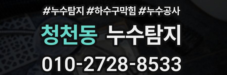 청천동 누수탐지업체