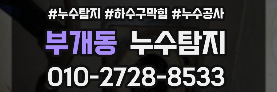 부개동 누수탐지업체