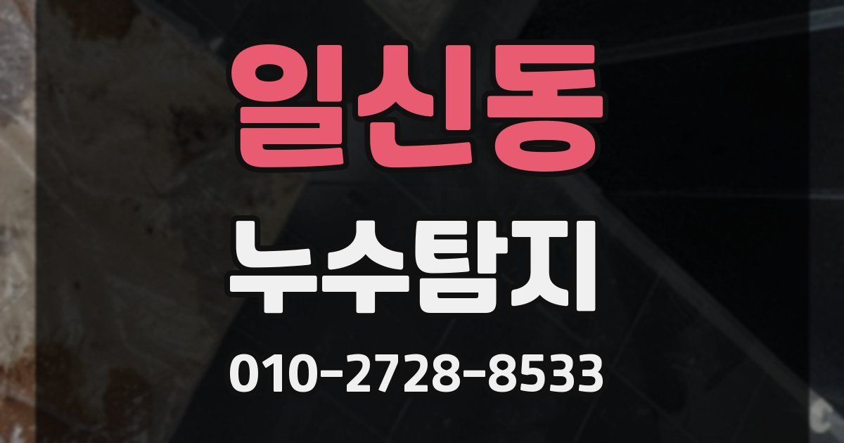 일신동 누수공사