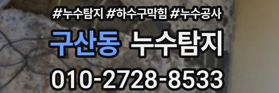 구산동 누수탐지업체
