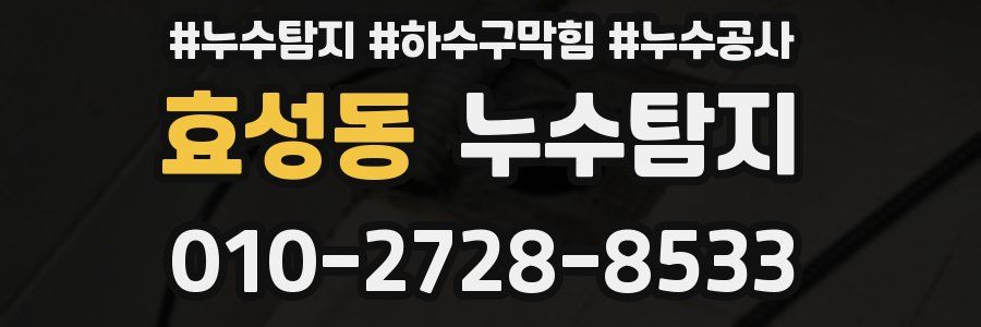 효성동 누수탐지업체