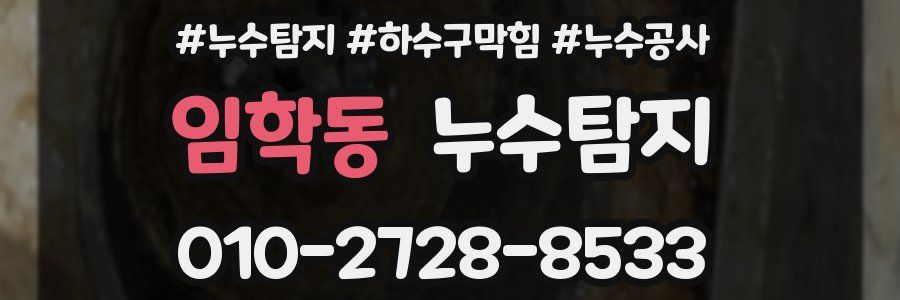임학동 누수탐지업체