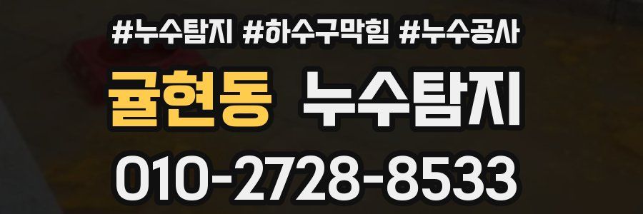 귤현동 누수탐지업체