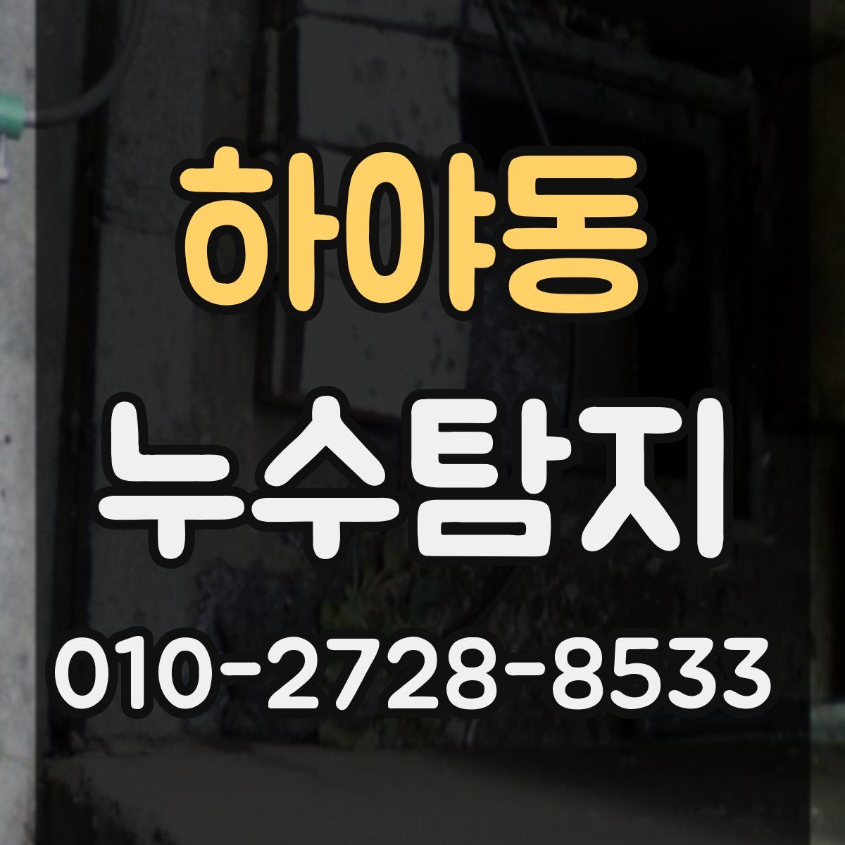 하야동 누수탐지
